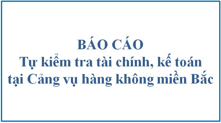 Báo cáo tự kiểm tra tài chính, kế toán năm 2022